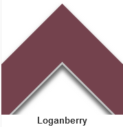 Loganberry